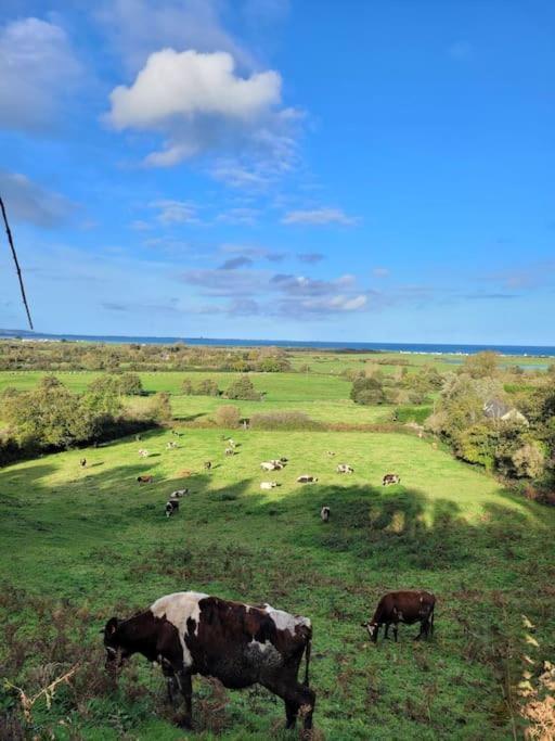 Gite Moussette - Bord De Mer - 4/6 Pers. Quineville Exterior photo